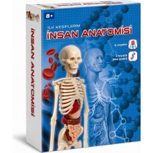 TeknoKapsül 64297 Insan Anatomisi - Bilim ve Oyun +8 Yaş