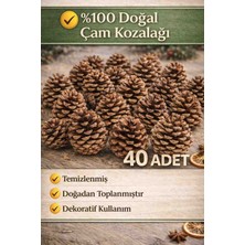 40 Adet Doğal Çam Kozalağı – Dekorasyon, Süsleme ve Hobi Için Kozalak 🌲