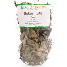 Taze Zencefil Şeker Otu