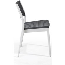 Novussi Segino Sandalye 6'lı Paket (Beyaz-Antrasit)