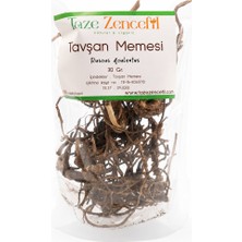 Taze Zencefil Tavşan Memesi