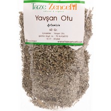 Taze Zencefil Yavşan Otu