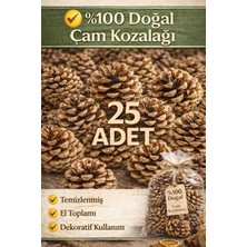 25 Adet Doğal Çam Kozalağı – Dekorasyon, Süsleme ve Hobi Için Kozalak 🌲