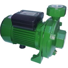 Nur Store Atlantis Blu Dmla 30-1.5m 2 Hp Tek Kademeli Basınçlı Santrifuj Bahçe Pompası 220V