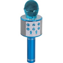 Nur Store EMR-101 Kutulu Karaoke Mikrofon
