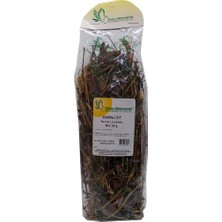 Nur Store Sinirli Yaprak Otu Sinirli Ot Doğal 50 gr Paket