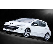 Drs Tuning Coil-Ex Peugeot 308 92007 Sonrası Spor Yay 30 / 30 mm