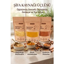 Doznest Şifa Kaynağı Üçlüsü: Öğütülmüş Zencefil 1 kg Öğütülmüş Zerdeçal 1 kg ve Toz Tarçın 1 kg