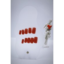 Hanori Collection Terracotta Kızıl Kahve Jel Yapışkanlı Takma Tırnak - Orta Boy Oval Küt
