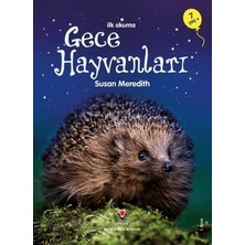 Ilk Okuma - Gece Hayvanları