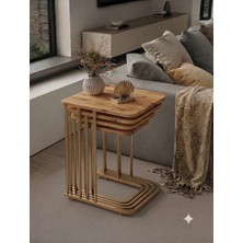 Eryalux Home 4'lü Tekerli Zigon Sehpa (Benj 19 Metal - Atlantik Çam )