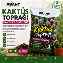 Taber Kaktüs & Sukulent Toprağı 3 Litre – Havadar ve Drenaj Destekli Özel Karışım