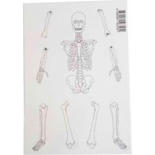 Bozkırlı BOZ-1025 Iskelet Sistemi