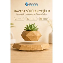 Manyetik Havada Asılı Dönen Dekoratif Saksı