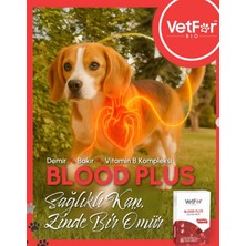 Vetfor Blood Plus 30 Kapsül Kedi ve Köpek Kan Yapıcı & Kansızlık Destek Takviyesi (Demir, B12 & Folik Asit)