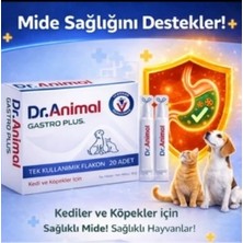 Dr. Animal Gastro Plus Mide Koruyucu 20 Tablet (Kedi ve Köpek Gastrit, Reflü & Bulantı Önleyici)