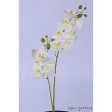 Yapay Çiçek Sitesi 2 Dal Yapay Islak Dokuda 12 Kandilli Mini Orkide Çiçeği 55 cm Beyaz Sarı
