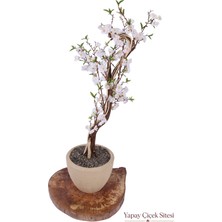 Yapay Çiçek Sitesi Bohem Saksıda Lüks Yapay Sakura Ağacı 125 cm Beyaz