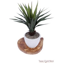 Yapay Çiçek Sitesi Bohem Saksıda Yapay Kaliteli Agave Ağacı 95 cm