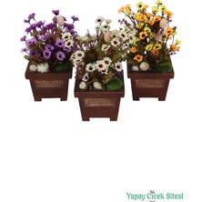 Yapay Çiçek Sitesi Ahşap Garden Saksıda 3'lü Set Yapay Papatya Tanzimi 28 cm