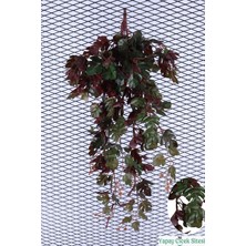 Yapay Çiçek Sitesi Yapay Kaliteli Islak Dokulu Filodendron Sarkan Sarmaşığı Yeşil Kızıl 85 cm