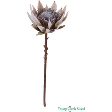 Yapay Çiçek Sitesi Yapay Protea Çiçeği Dalı 53 cm Kum Beji