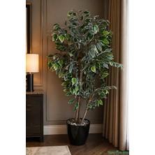 Yapay Çiçek Sitesi Siyah Saksıda Yapay Benjamin (Ficus) Ağacı 130 cm Yeşil-Beyaz