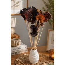 Yapay Çiçek Sitesi Kuru Çiçek Doğal Mushroom (Mantar) 28 cm 10LU