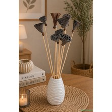 Yapay Çiçek Sitesi Kuru Çiçek Doğal Lotus 28 cm 10LU