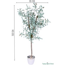 Yapay Çiçek Sitesi Beyaz Plastik Saksıda Yapay Zeytin Ağacı 150 cm