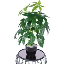 Yapay Çiçek Sitesi Yapay Refah Çiçeği Bitkisi 70 cm