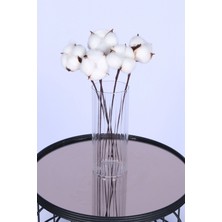 Yapay Çiçek Sitesi Doğal Beyaz Pamuk Çiçeği 5li 30 cm