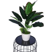 Yapay Çiçek Sitesi Yapay Mini Muz Tanzimi 65 cm