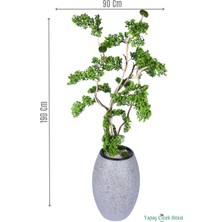 Yapay Çiçek Sitesi Fiber Saksıda Doğal Gövdeli Bonsai Yapay Ağaç 190 cm