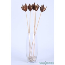 Yapay Çiçek Sitesi Kuru Çiçek Doğal Lily 50 Cm 5li