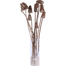 Yapay Çiçek Sitesi Kuru Çiçek Doğal Tropic Tail Cone 55 cm 10lu