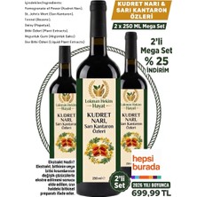 2 x 250 ml Kudret Narı ve Sarı Kantaron Özleri Sıvı Ekstrakt Karışımı | Doğal Bitkisel Destek Karışımı Lokman Hekim Hayat
