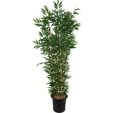 Yapay Çiçek Sitesi Plastik Saksıda 10 Dallı Yapay Bambu Ağacı 230 cm