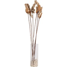 Yapay Çiçek Sitesi Kuru Çiçek Doğal Sholu Berries 65 cm 5li