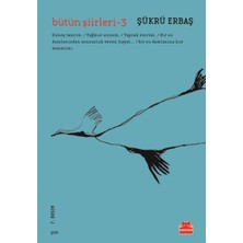 Esranın Dünyası Bütün Şiirleri 3