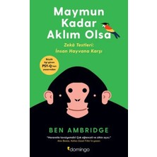 Colezium Maymun Kadar Aklım Olsa
