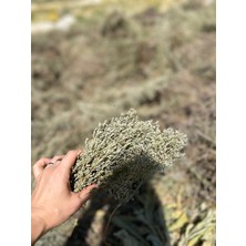 Narin Tarım Dağ Kekiği – Kurutulmuş Yayla Kekiği 20 G