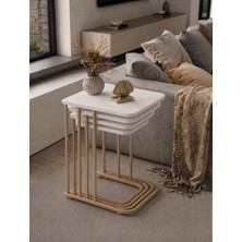 Eryalux Home 4'lü Tekerli Zigon Sehpa (Cappuccino Metal - Beyaz Mdf)