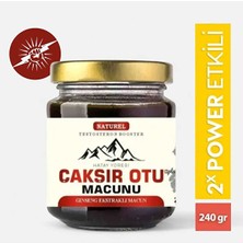 Palmira Demir Çakşır Otu Macunu Erkek Performans 240GR