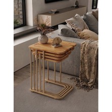 Eryalux Home 4'lütekerlekli Zigon Sehpa (Capppoccino-Çam)