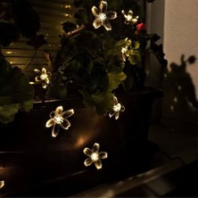 Just Cheap Store Solar 5m 50 LED Papatya Gün Işığı 8 Fonksiyonlu