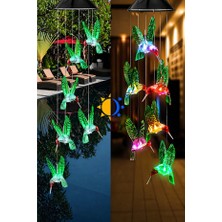 Akbu Solar LED Işıklı Kuşlu Bahçe Dekoru 6 Ledli,renkli Işık