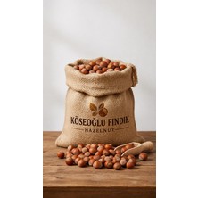 Köseoğlu % 100 Giresun Kalite Kabuklu Fındık( 10 kg Avantajlı Paket)