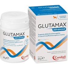 Candioli Glutamax Advanced Köpek Karaciğer Destek Macunu 60 gr (Siliphos & Deve Dikeni Kompleksi)