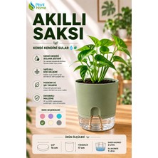 Plant-Home Akıllı Saksı Kendini Sulayan Saksı Otomatik Sulama Sistemli Su Hazneli Dekoratif Saksı 2 Litre
